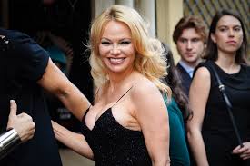 Next, pamela got press for defending julian assange. Pamela Anderson Split Up Our Family Claims Dan Hayhurst S Furious Ex