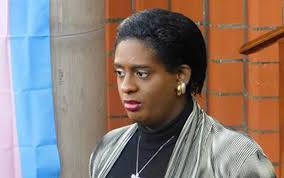 Bill falls short, says LGBTI leader