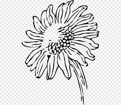 Download high quality sunflower clip art from our collection of 65,000,000 clip art graphics. Drawing Outline Flower White Sunflower Monochrome Png Pngwing