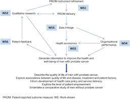 It helps shrink the cancer and increases the effectiveness of radiation therapy. Life After Prostate Cancer Diagnosis Protocol For A Uk Wide Patient Reported Outcomes Study Bmj Open