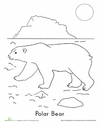 Polar Bear Worksheet Education Com Polar Bear Coloring Page Bear Coloring Pages Polar Bear Art
