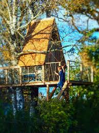 For raw materials, expect to pay $1,000 to $11,000. Treehouse Building Costs Prices That Await You Thetreehouse Shop