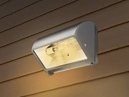 They act as scavengers on rotting matter speeding up the process. How To Get Rid Of Earwigs 12 Steps With Pictures Wikihow