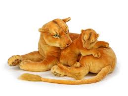 Image result for monika babi%u0161ov 