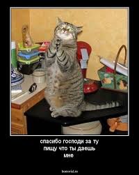 Картинки по запросу "подяка за їжу"