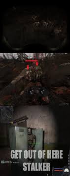 Got Back Playing S T A L K E R Call Of Pripyat And Got A Welcoming Party Of 20 Blind Dogs 3 Blood Suckers And 1 Pseudogiant 9gag