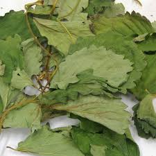 無添加 無着色 国産いちごの葉と茎 かおりの 30g