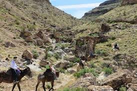 Just 30 minuts from your las vegas hotel, horseback riding near las vegas can become reality. Red Rock Canyon 2 Hour Horseback Riding Adventure 2021 Las Vegas