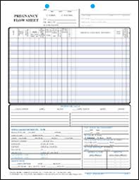 Tab Dividers Classification File Folders Custom Chart