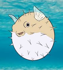 How To Draw A Puffer Fish Draw Central I'm on a large island trying to farm some explosive goo but i've only encountered 2.