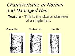 Check out our gallery featuring women's hairstyles with fine hair. Ppt Characteristics Of Normal And Damaged Hair Powerpoint Presentation Id 5430084