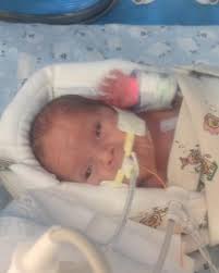 Noah Prince Obituary (2020)