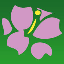 Phone ordered a floral arrangement for a special lady, flowers were perfect and arrived just when they said they would. Avas Flowers Official Mobile Avas Flowers App By Avas Flowers