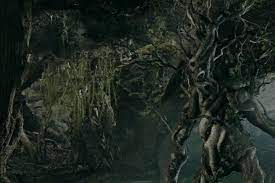 They were immortal (although they could be damaged or killed with sufficient force) and along with it, they were deliberate and slow in thought, decision and action. Ents The One Wiki To Rule Them All Fandom