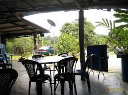 You have to build a home for them first. Tripify Rani Organic Chicken Farm Rawang