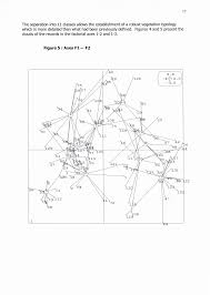 Image result for Meiostemon tetrandrus