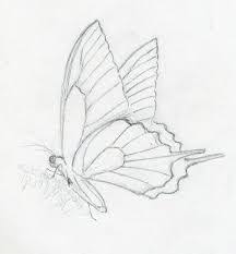 In addition to free png format images, you can also find. Pin By Wings Of The Future Butterfly On Drawing Sketches Butterfly Sketch Butterfly Art Butterfly Drawing