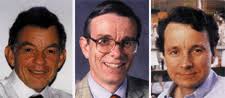 Lasker awards honour three pioneers in ion channels