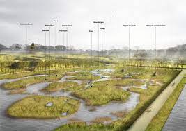To make this difference tangible, we decided to harden this part of the water. Inundationpark West Brabant Waterline