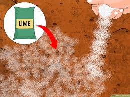 A soil test kit or ph probe available at your local garden center will tell you your soil's ph, but will not tell you how much lime is needed to correct the problem. How To Acidify Soil 14 Steps With Pictures Wikihow