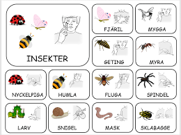 Tecken Som Stod Froken Ljusta Autism Aktiviteter Teckensprak Babyteckensprak