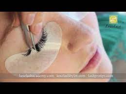 1 Russian Volume Fan Placement Volume Lash Technique Tutorials Youtube Lashes Russian Lashes Volume Lashes