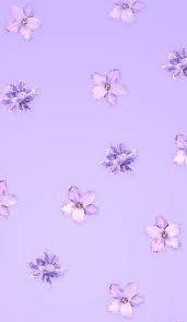 Aesthetic Lavender Background Pastel Aesthetic Pastel Purple Wallpaper Iphone In 2020 Purple Wallpaper Iphone Purple Wallpaper Phone Light Purple Wallpaper