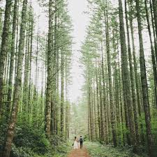 No todas las bodas en bosques tienen que ser bohemias: Los Viernes De Bodas En Espana La Nueva Tendencia De Casarse En El Bosque Bcn Wedding Planners By Marta Priu