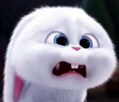 Anda bisa menyimpan gambar ini ke pc atau gadget lain secara gratis. 73 Comel Cute Ideas Haiwan Peliharaan Haiwan Lucu Lukisan Disney