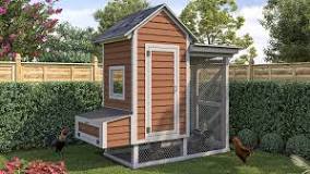 4x8 Medium Chicken Coop Plans For 10 Chickens - Easy Coops™