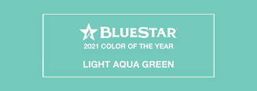 Green aqua official channel on aquascaping and planted aquariums. 2021 Color Of The Year Light Aqua Green Bluestar