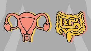 On the other hand, ibs does not protect you from acquiring another disorder or condition. Is It Ovarian Cancer Or Irritable Bowel Syndrome Ibs Everyday Health