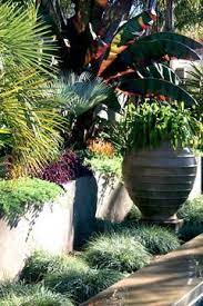 Tropical Mix Of Size Color Texture Plus An Oversized Pot For Planting Or Water Tropical Landscaping Tropical Landscape Design Water Features In The Garden