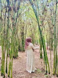 Tempat menarik di sepang akan membawa anda menikmati sajian percutian yang menyenangkan bersama keluarga ketika menghabiskan waktu bercuti di sepang, selangor. Nasi Ambeng D Rebung Port Santai Baru Geng Ootd Di Sepang Libur