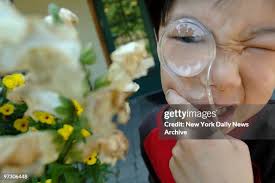 3,068 Everett United Stock Photos, High-Res Pictures, and Images