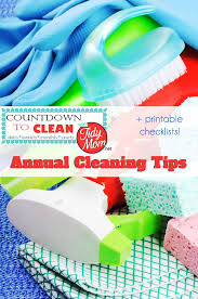 As a result, light weekly cleaning will be. How To Clean Your House 4 Cleaning Schedules To Print Daily Weekly Monthly Annual