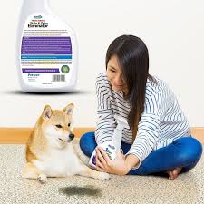 Bio Clean Hard Water Stain Remover Reviews Pet Odor Stain Remover For Dog And Cats Urine Smart Review With Images Pet Odor Eliminator Cat Odor Eliminator Pet Odors