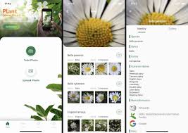 Best android apps to keep you productive! The 8 Best Plant Identification Apps Of 2021