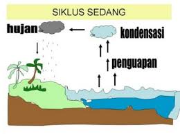 Check spelling or type a new query. Pengertian Siklus Air Unsur Tahapan Macam Fungsinya