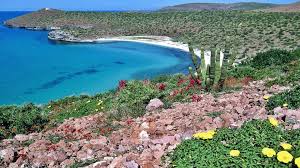 Baja california, tijuana, baja california. Baja California Wallpapers Wallpaper Cave