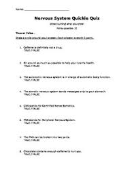 Nervous System Worksheets Teachers Pay Teachers