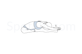 Head To Knee Forward Bend Pose Janu Sirsasana