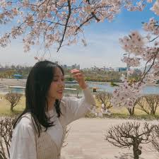 190418 Cherry Blossom Sinb Instagram Selebritas Fotografi Potret Gambar