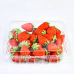 Wholesale Disposable Fruit Containers Supplier & Factory - Lesui