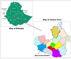 Image result for Pouteria adolfi-friederici