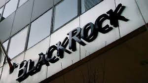 How BlackRock (BLK), Goldman (GS) Seduce Hedge Fund Clients in $2.4 Trillion  Market - TheStreet