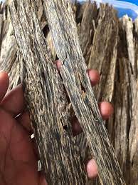 A wide variety of gaharu options are available to you, such as use, raw material, and ingredient. Kayu Gaharu