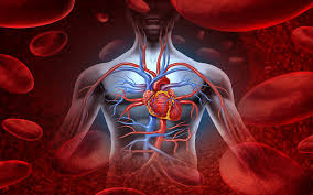 Image result for coronary artery disease treatment