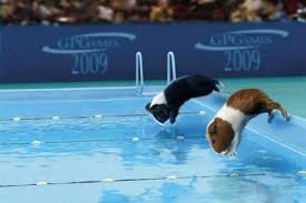 Maybe you would like to learn more about one of these? Bugsy Bedtime Stories Posts Facebook
