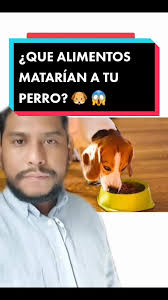 Matan Threatens Guest with Fire Extinguisher